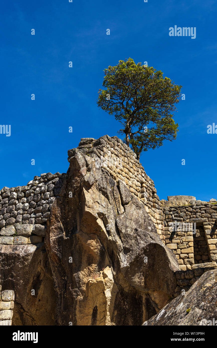 Temple du Condor, Machu Picchu, Urubamba, région de Cuzco, Pérou, Amérique du Sud Banque D'Images