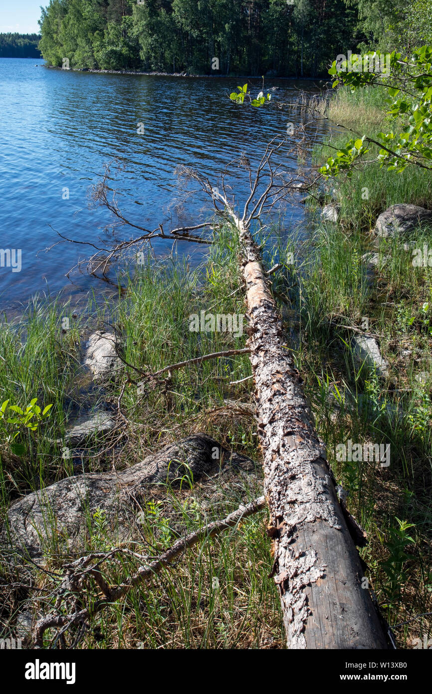 Le lac en Malonsaari, Imatra en Finlande Banque D'Images