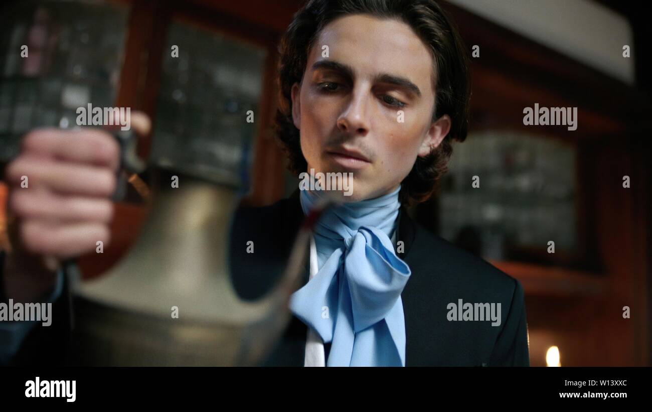 Timothée CHALAMET dans de grands artistes : HORROR SHOW (2017). Banque D'Images