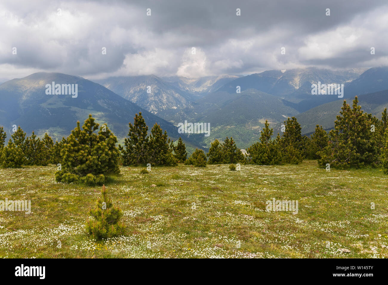 Coll d'Ares beau paysage, Pyrénées Catalanes Banque D'Images