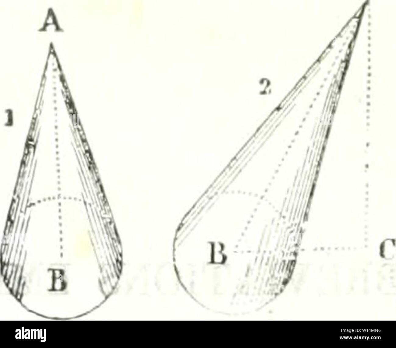 Image d'archive à partir de la page 20 du Dictionnaire des sciences mathématiques pures. Dictionnaire des sciences sociales mathÃmatiques purs et appliquÃes . dictionnairedess01mont Année : 1838 lyjones rÃguliei-s d'un nombre infini de cÃ'tÃs. Le cylindre est droit (i) lorsque la peipmdiculaire. lorsque l'ax est inclinà (2). La hauteur d'un cà'ne peipcndiculaire abaissÃe est la de son sommet-sur le plan de sa base. 55. La sphère est un solide terminà par une seule surface courbe, dont tous les Ãjalemcnt Ãloi points are- abaissÃe du centre de l'une de ses bases sur l'autre, tombe S''' '''''''' P' P'' Â"l'> Banque D'Images