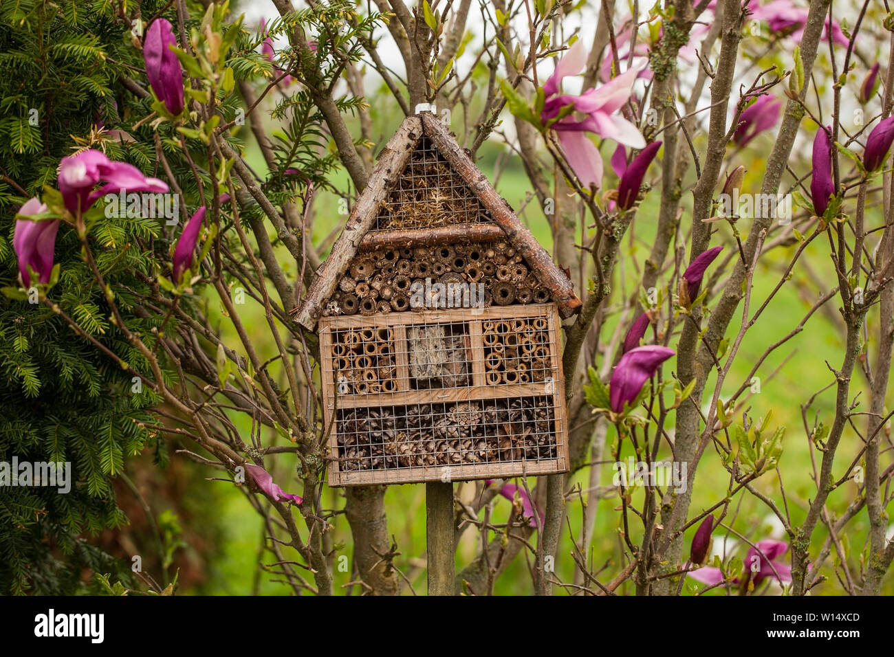 Insect house - hôtel dans un jardin de printemps Banque D'Images