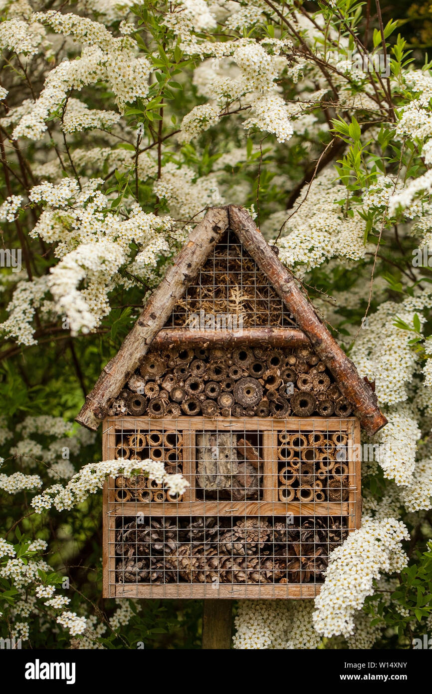 Insect house - hôtel dans un jardin de printemps Banque D'Images
