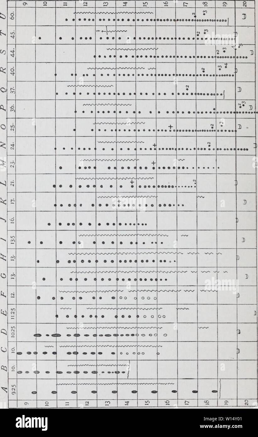 Image d'archive à partir de la page 29 de l'élaboration de l'mesonephras. Le développement de l'mesonephras et le conduit de Müller dans Amphibia . developmentofmes00hall Année : 1904 56 bulletin : Museum of Comparative Zoology. DiAGiAM 1. (Voir les explications ci-contre). Banque D'Images