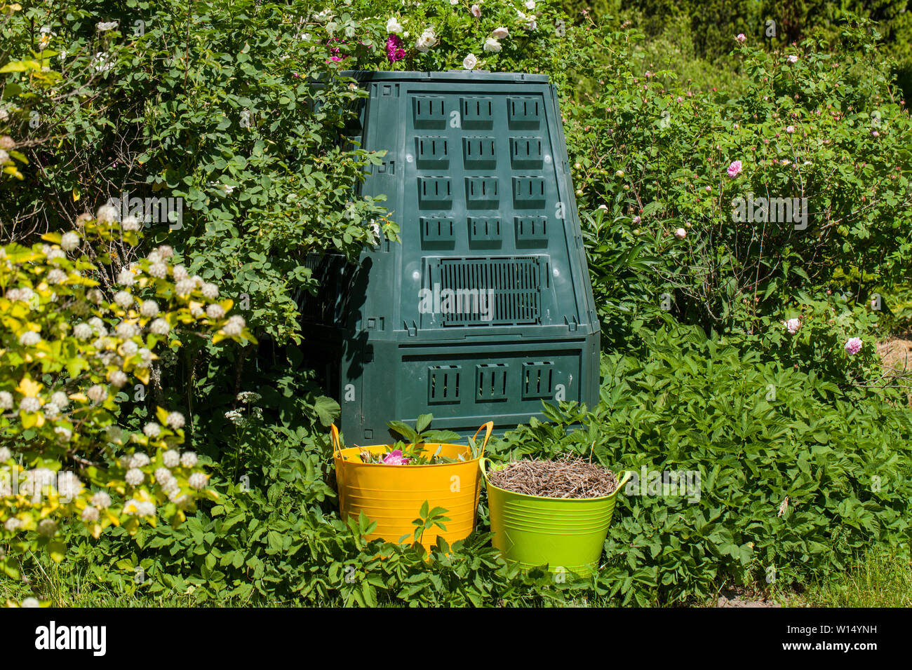 Bac à compost dans un jardin d'été Banque D'Images