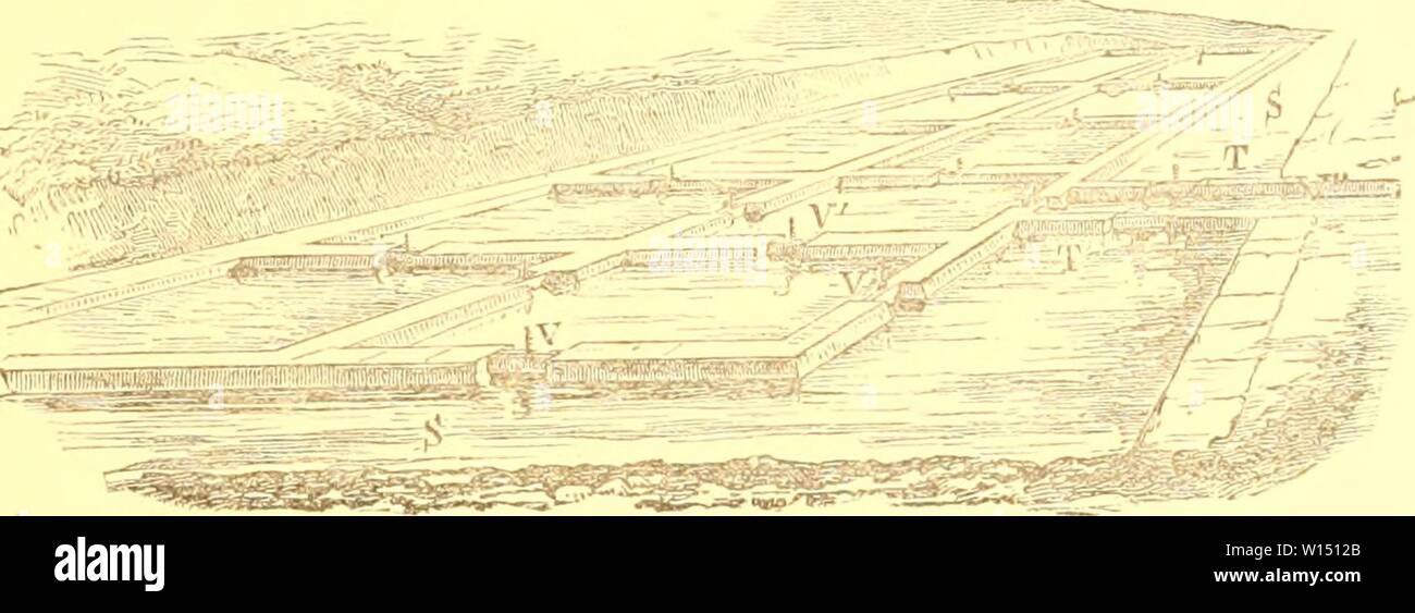 Image d'archive à partir de la page 102 de l'élaboration et la protection de. Le développement et la protection de l'huître dans le Maryland . developmentprote00broo Année : 1884 B' ¥r, RV. I. -VI 25riiiUKK j -J. Banque D'Images