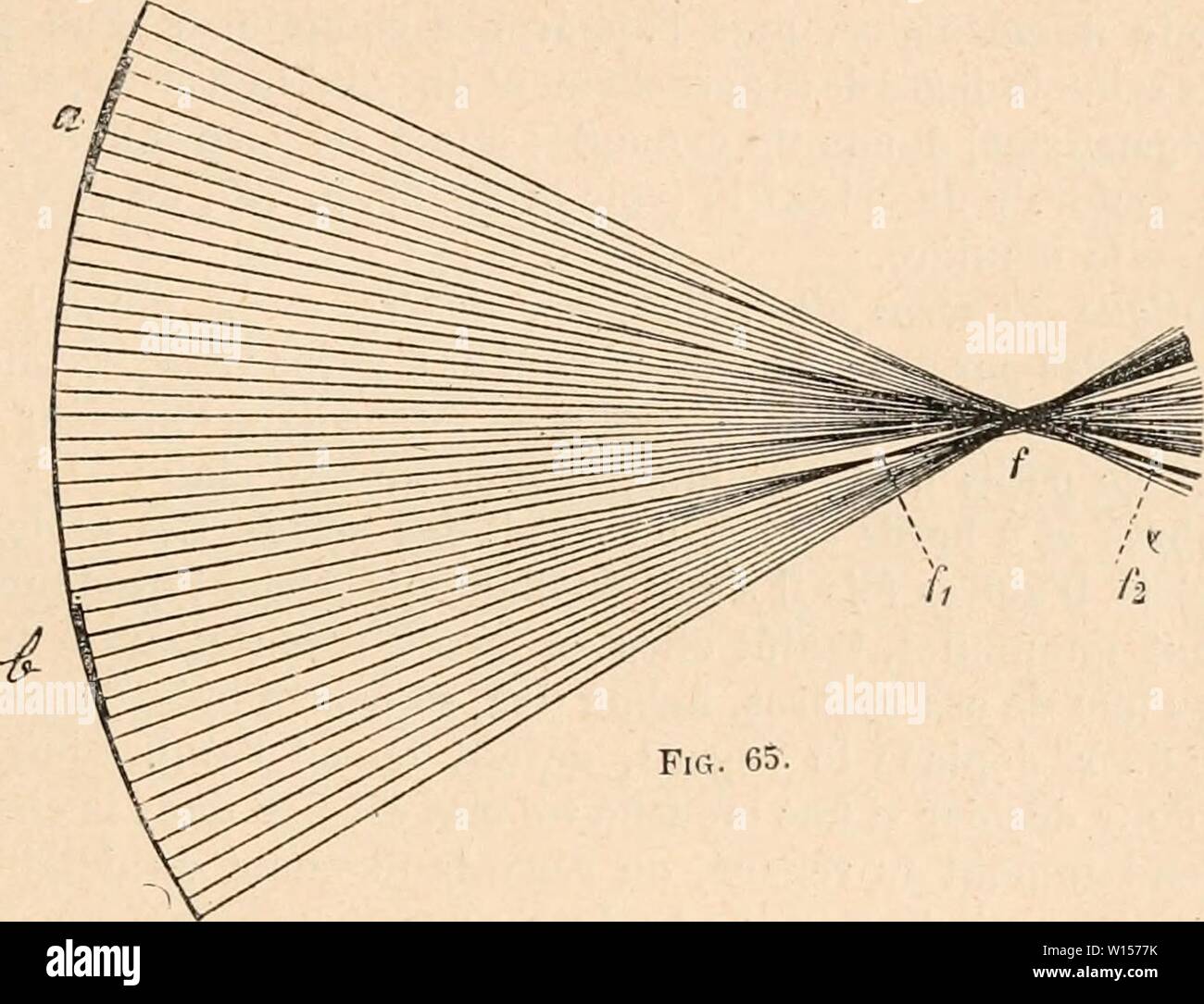 Image d'archive à partir de la page 120 du Dictionnaire de physiologie (1902). Dictionnaire de physiologie . dictionnairedeph05riche Année : 1902 FiG. 64. FiG. 65. comme s'ils provenaient du trou, ou comme si ce dernier Ãtait le point lumineux. Dans certaines circonstances, les dÃtails entoptiquement vus ne sont pas des corps opaques, mais ils agissent comme des lentilles ajoutÃes Ã l'Åil. Soit, fig. 65, en G le systÃ me¨dioptrique, dont une petite partie b est plus rÃfringente que le restant. La distance focale de cette partie est plus courte que celle du restant de la surface. Supposons la rÃtine placÃ Banque D'Images