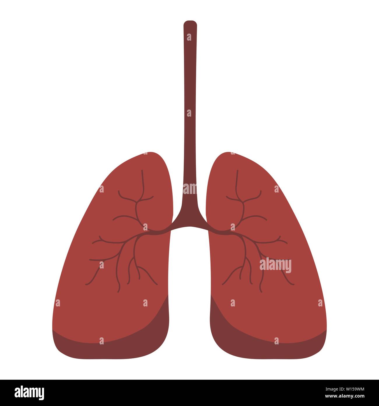 Les poumons, l'icône de style plat. Les organes internes de l'élément de conception, logo. L'anatomie, le concept de la médecine. Les soins de santé. Isolé sur fond blanc. Vector Illustration de Vecteur