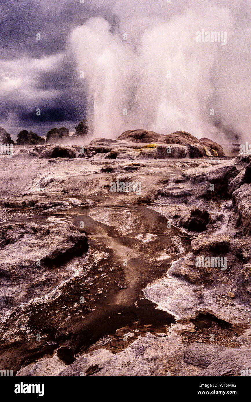 La Nouvelle-Zélande. Rotorua, connue pour son activité géothermique, et dispose, notamment les geysers Pohutu Geyser à Whakarewarewa - et des piscines de boue chaude. Cette t Banque D'Images
