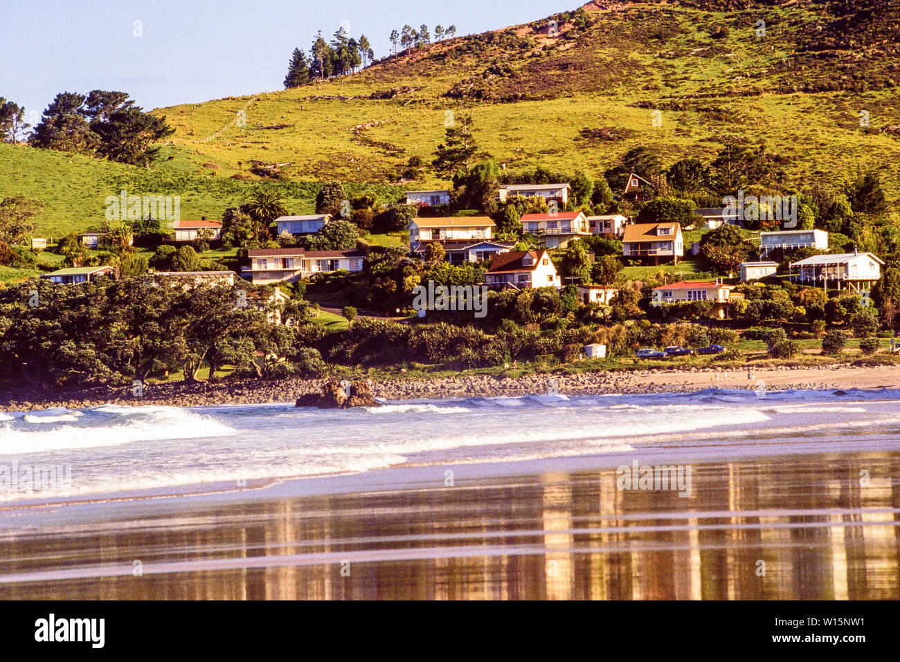 Nouvelle Zélande, île du Nord, Wellington. Propriétés au bord de l'eau dans les banlieues. Photo prise Novembre 1989. Photo : © Simon Grosset. Archive : Image digitis Banque D'Images