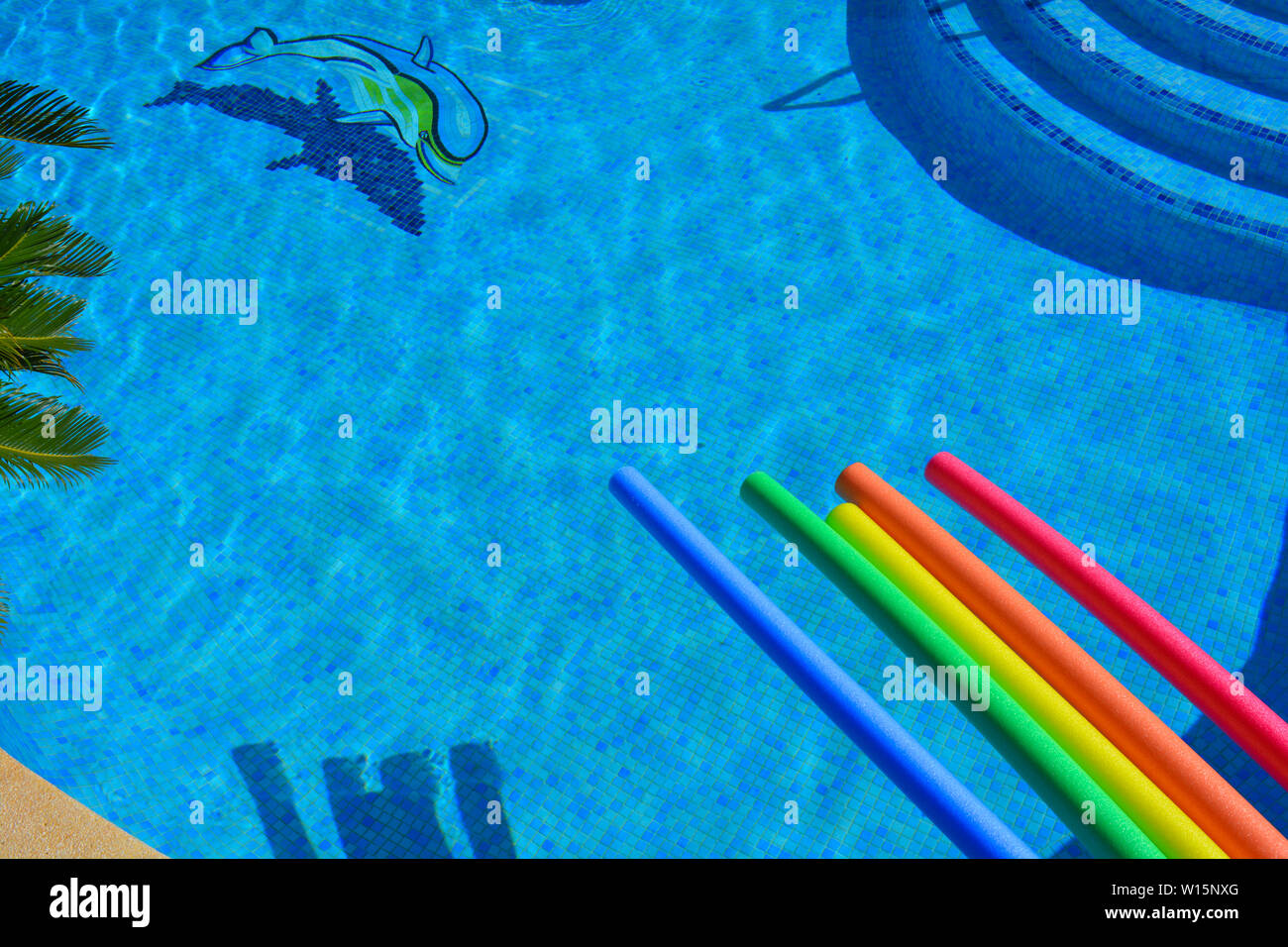 Piscine de couleur vive sur les nouilles, au bord de la piscine vue d'angle élevée avec baquois, dolphin mosaic et étapes Banque D'Images