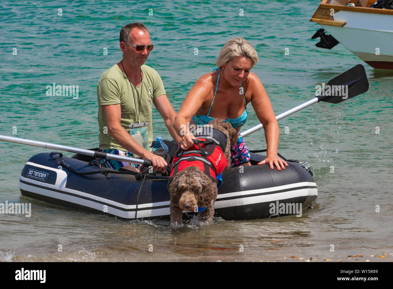 Couple avec chien dans gilet arrivent à la plage de West Wittering gonflables en caoutchouc à, Chichester Harbour, West Sussex, England, UK Banque D'Images