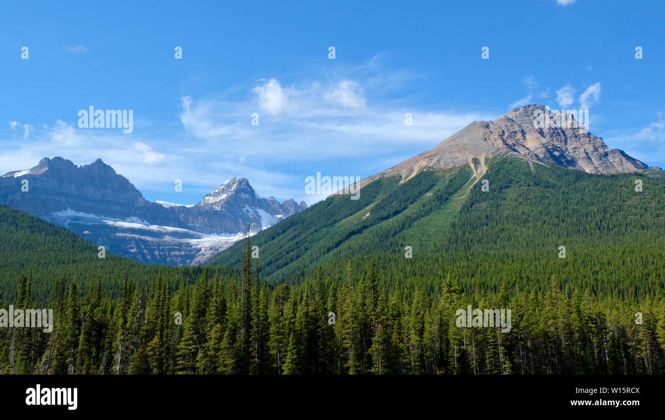 Paysage de forêt et montagnes Banque D'Images