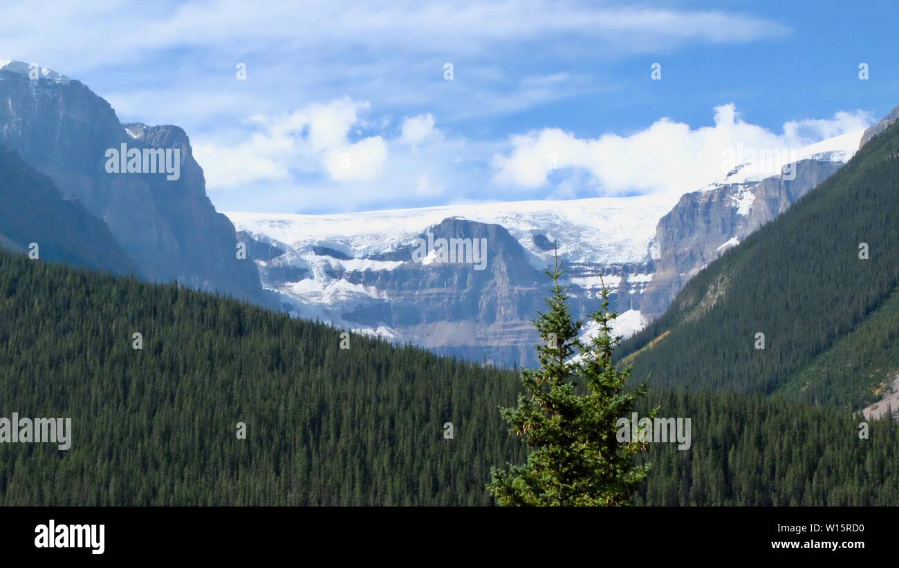 Paysage de forêt et montagnes Banque D'Images