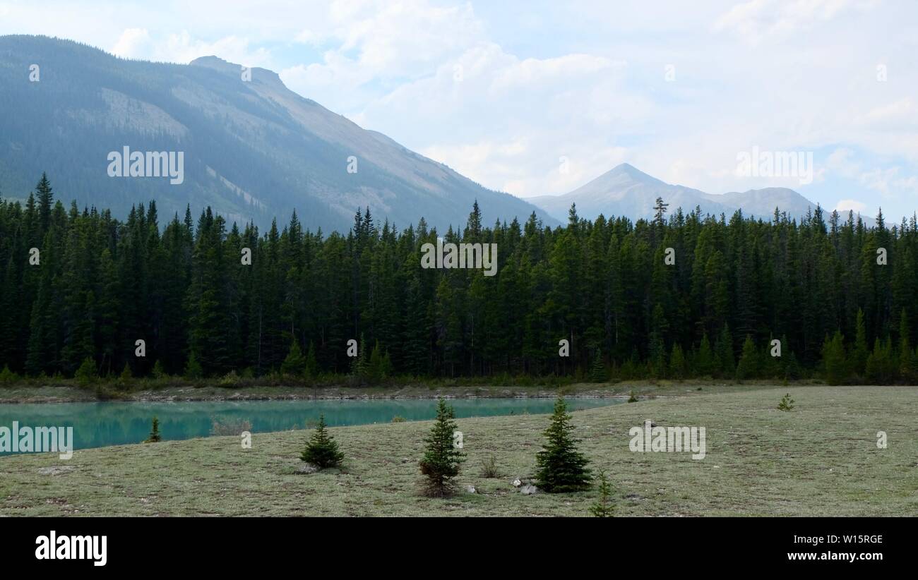 Pins debout à côté de l'eau turquoise en face d'une chaîne de montagnes Banque D'Images