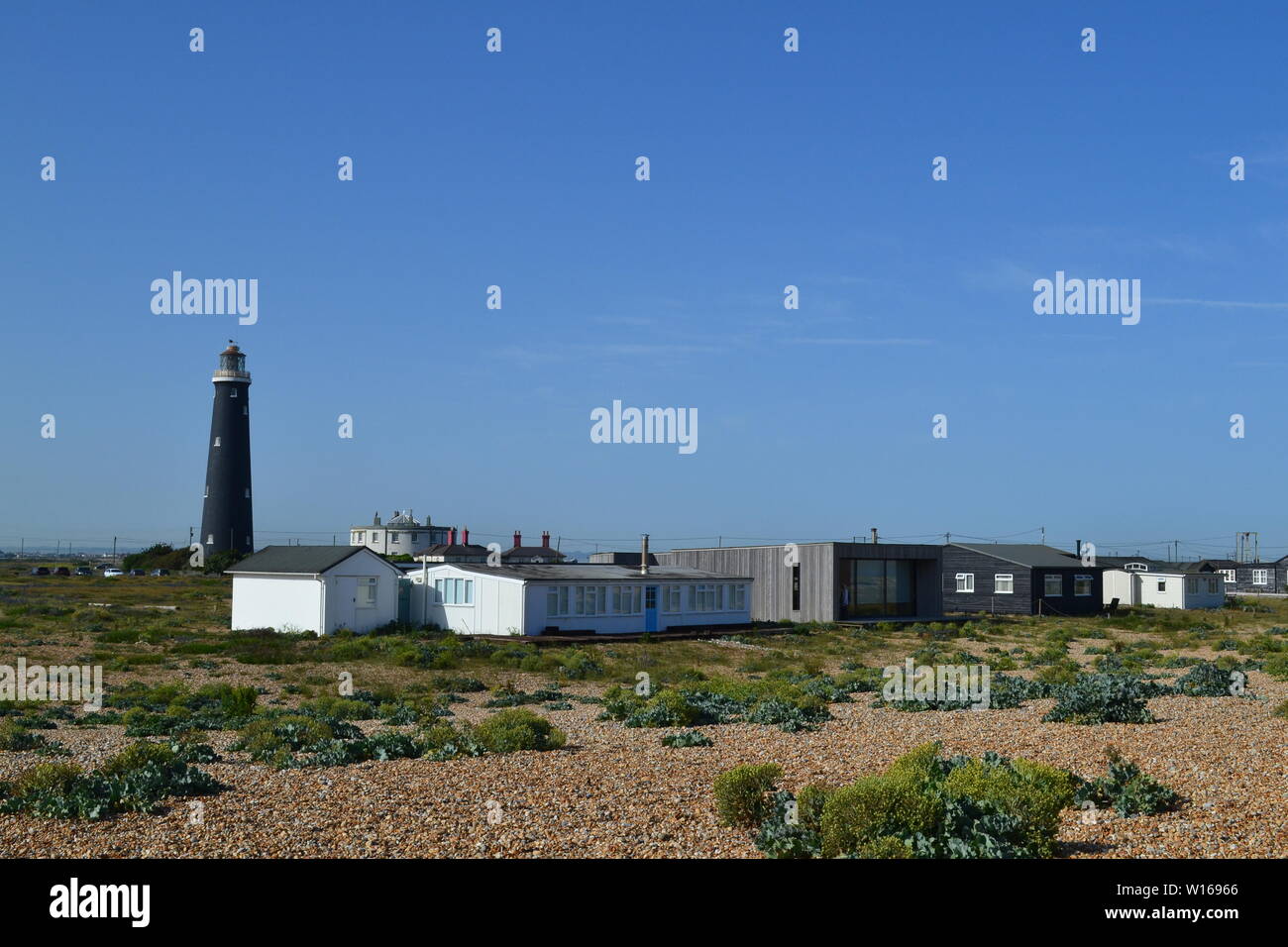 Anciens et nouveaux phares à Dungeness, Kent, fin juin sur une belle journée d'été avec de rewarewa de fleurs sauvages en pleine floraison. Banque D'Images