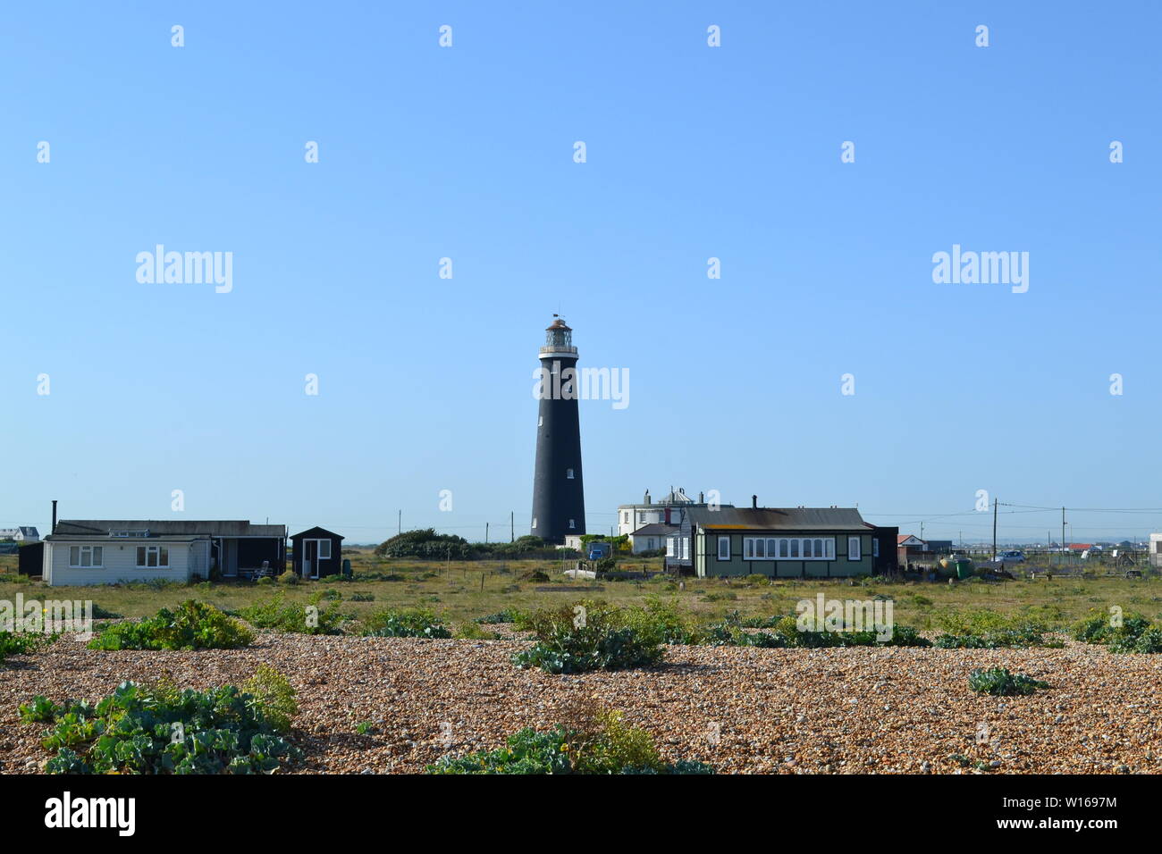 Anciens et nouveaux phares à Dungeness, Kent, fin juin sur une belle journée d'été avec de rewarewa de fleurs sauvages en pleine floraison. Banque D'Images