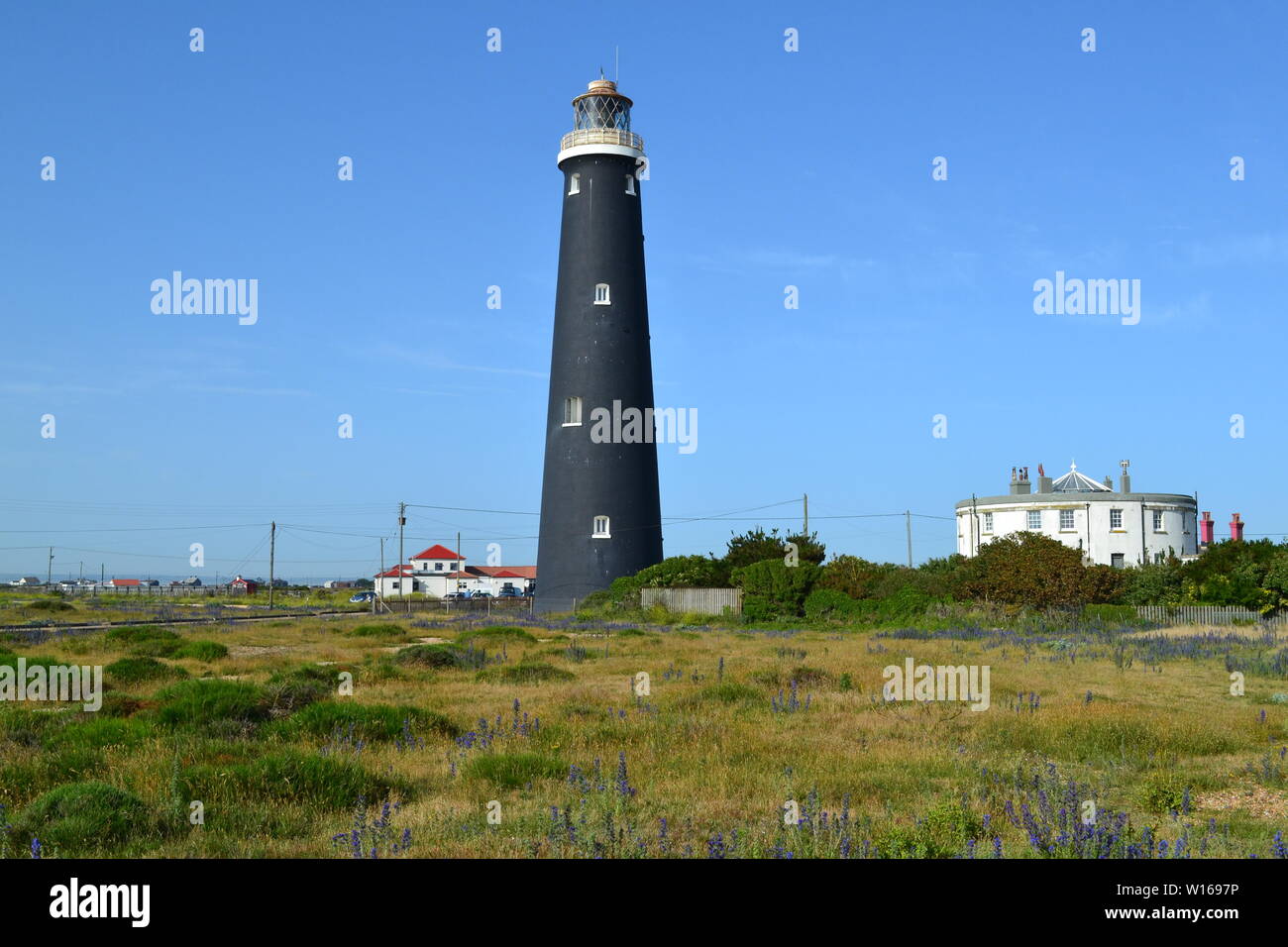 Anciens et nouveaux phares à Dungeness, Kent, fin juin sur une belle journée d'été avec de rewarewa de fleurs sauvages en pleine floraison. Banque D'Images