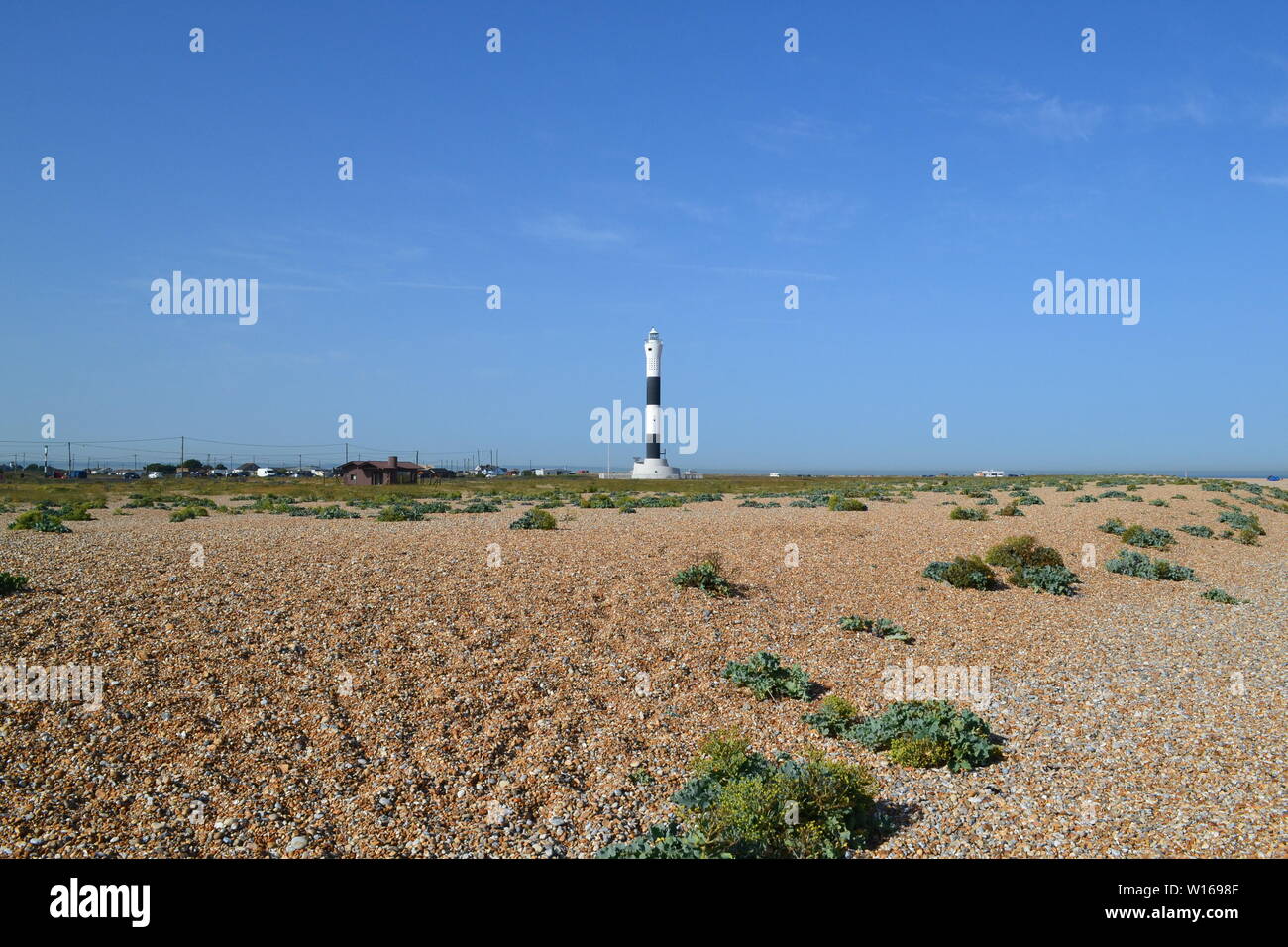 Nouveau phare à Dungeness, Kent, fin juin, lors d'une belle journée d'été avec le célèbre bardeau de la péninsule en premier plan. Banque D'Images