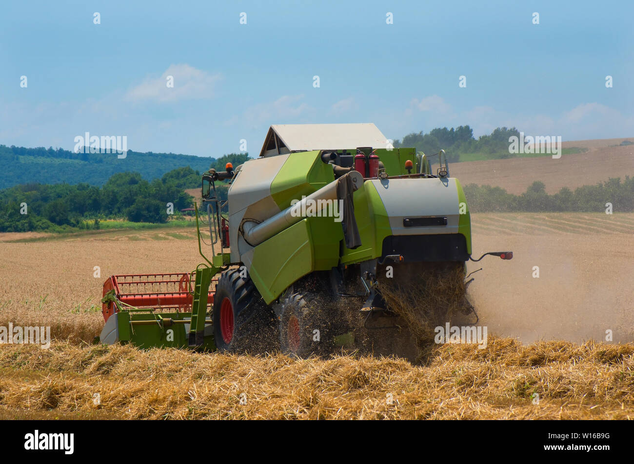 Harvester combiner la récolte du blé. Banque D'Images