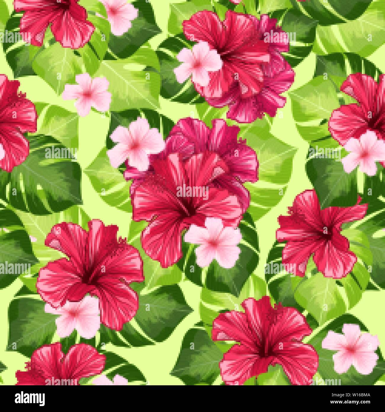 Hawaiian Hibiscus Fleur et parfum Monstera le motif transparent. Mauve, rose chinois et la flore botanique Palms avec pétales. Scieries de Karkade ou Bissap Infusion, Fleur Flore Crimson. Illustration de Vecteur Hawaiian Hibiscus Fleur et parfum Monstera le motif transparent. Mauve, rose chinois et la flore botanique Palms avec pétales. Scieries de Karkade ou Bissap Infusion, Fleur Flore Crimson. Illustration de Vecteur