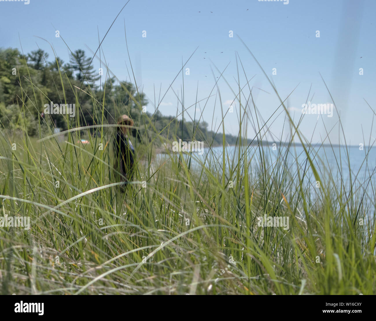 Derrière la végétation et les herbes hautes à la plage, on remarque la silhouette de la femme, portant un chapeau de paille. Le lac Huron. Banque D'Images