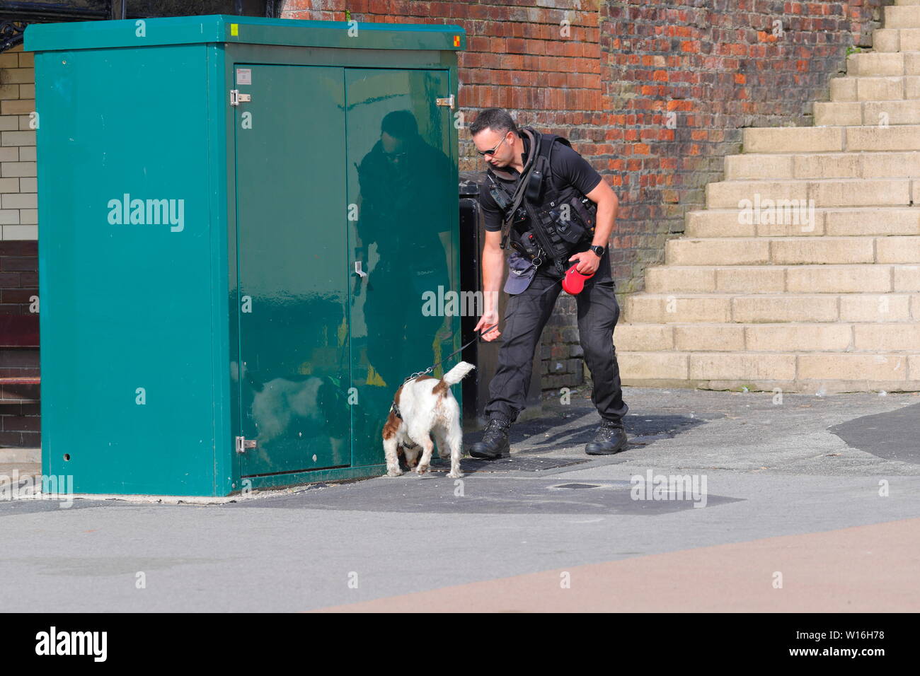 Un agent de police avec un chien renifleur à colis suspects au cours de la Journée des Forces armées de Scarborough. Banque D'Images