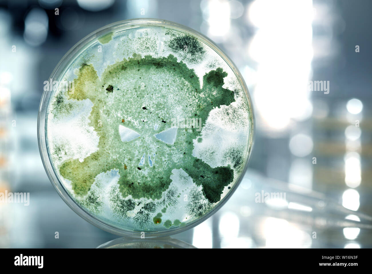 Pétri des bactéries en forme de tête de mort Banque D'Images