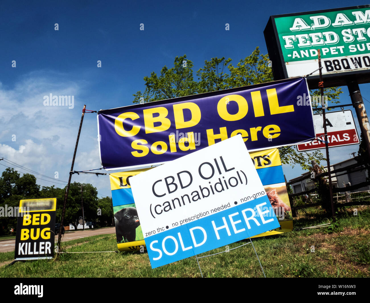 État du Texas a adopté des lois en 2019 session législative, signé par le gouverneur Greg Abbott nouvelle loi permettant aux produits du chanvre pour la CDB de l'huile. Nouvelle loi causé certains comtés afin de supprimer toutes les charges de la marijuana. Banque D'Images