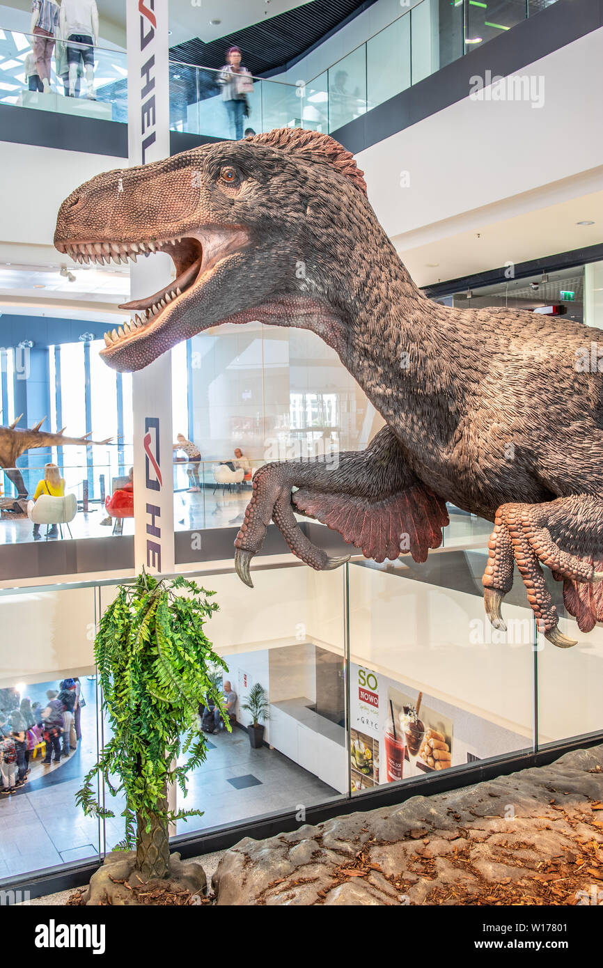 Lodz, Pologne, mai 2019 Utahraptor, shopping centre de divertissement, SUKCESJA dromaeosauridé théropode, Utahraptor, ostrommaysi Dromaeosauridae Banque D'Images