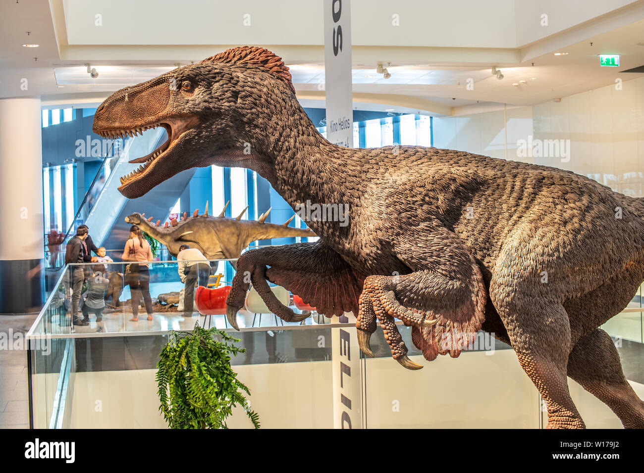 Lodz, Pologne, mai 2019 Utahraptor, shopping centre de divertissement, SUKCESJA dromaeosauridé théropode, Utahraptor, ostrommaysi Dromaeosauridae Banque D'Images