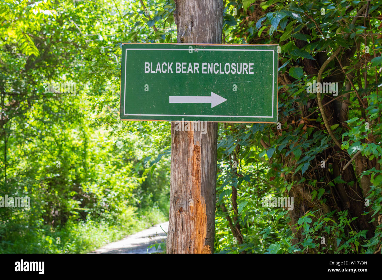Une pancarte portant l'ours noir lecture enclos au Parc National de Dachigam à Srinagar, au Cachemire Banque D'Images