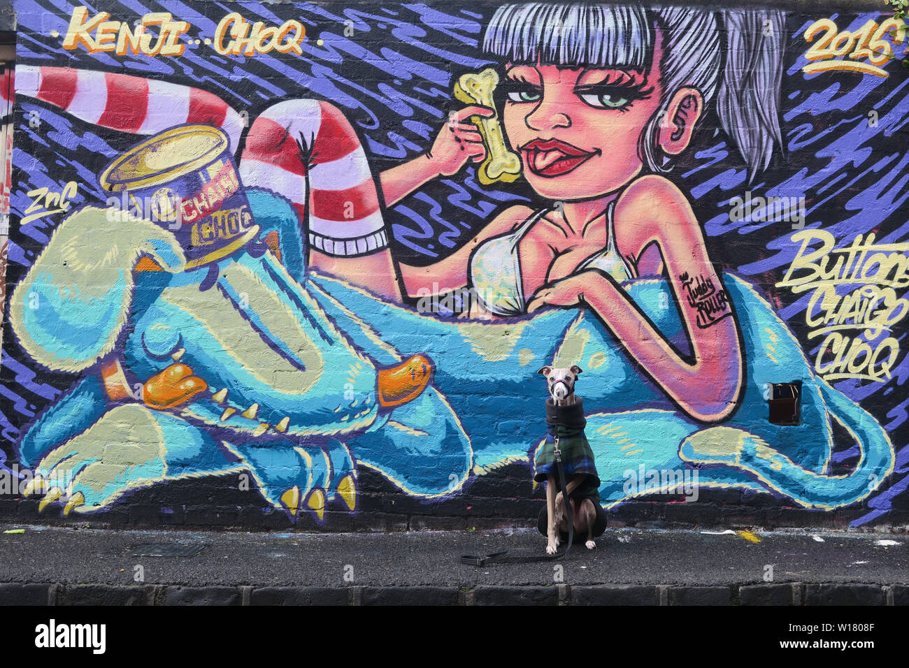 Chiens de Melbourne en Australie. Bien habillé d'un Whippet pose devant certains street art très coloré à Melbourne. Banque D'Images