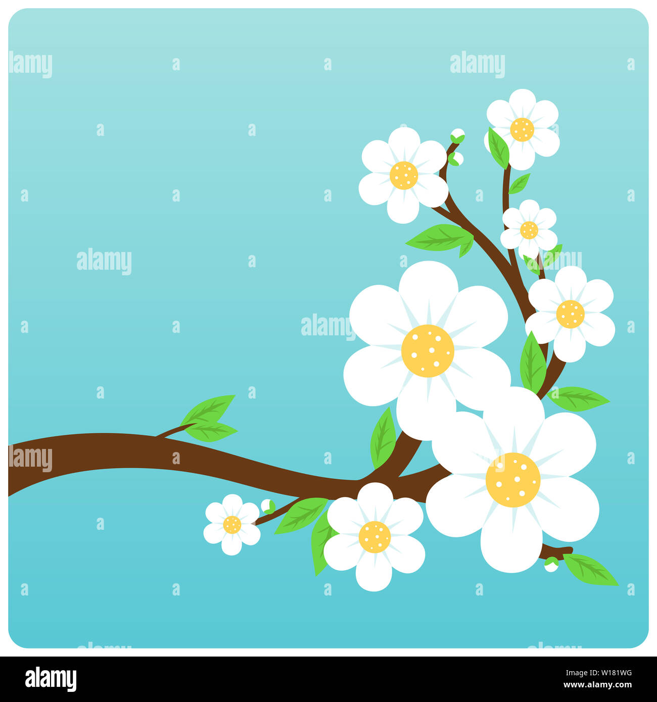 Arbre printanier avec des fleurs blanches. Fond bleu avec une branche d'arbre pleine de fleurs. Banque D'Images