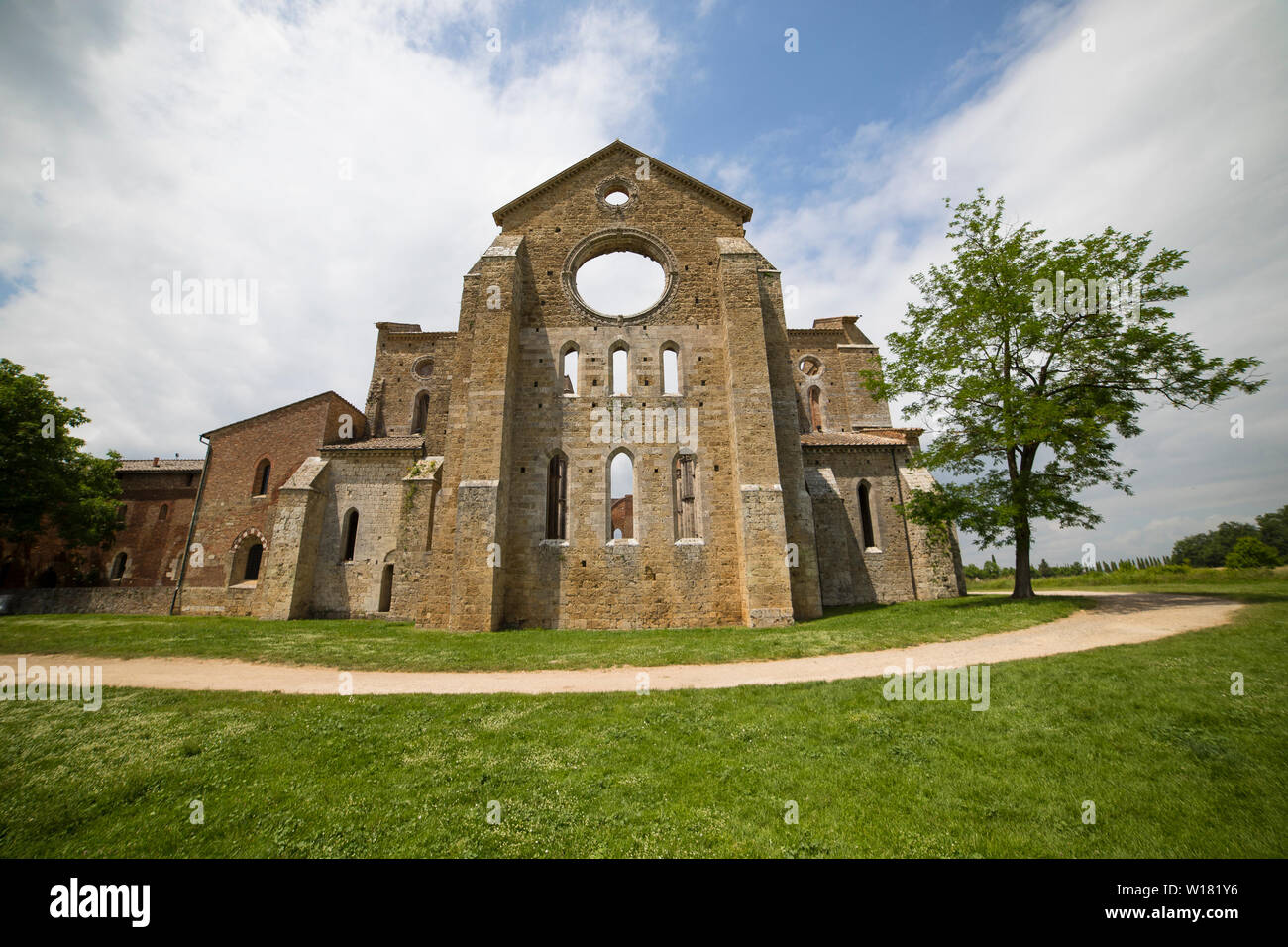 La façade de San Galgano abbey de l'extérieur par une journée ensoleillée avec un chemin qui l'entourent et un arbre sur le côté droit. Chiusdino, Toscane, Italie. Banque D'Images