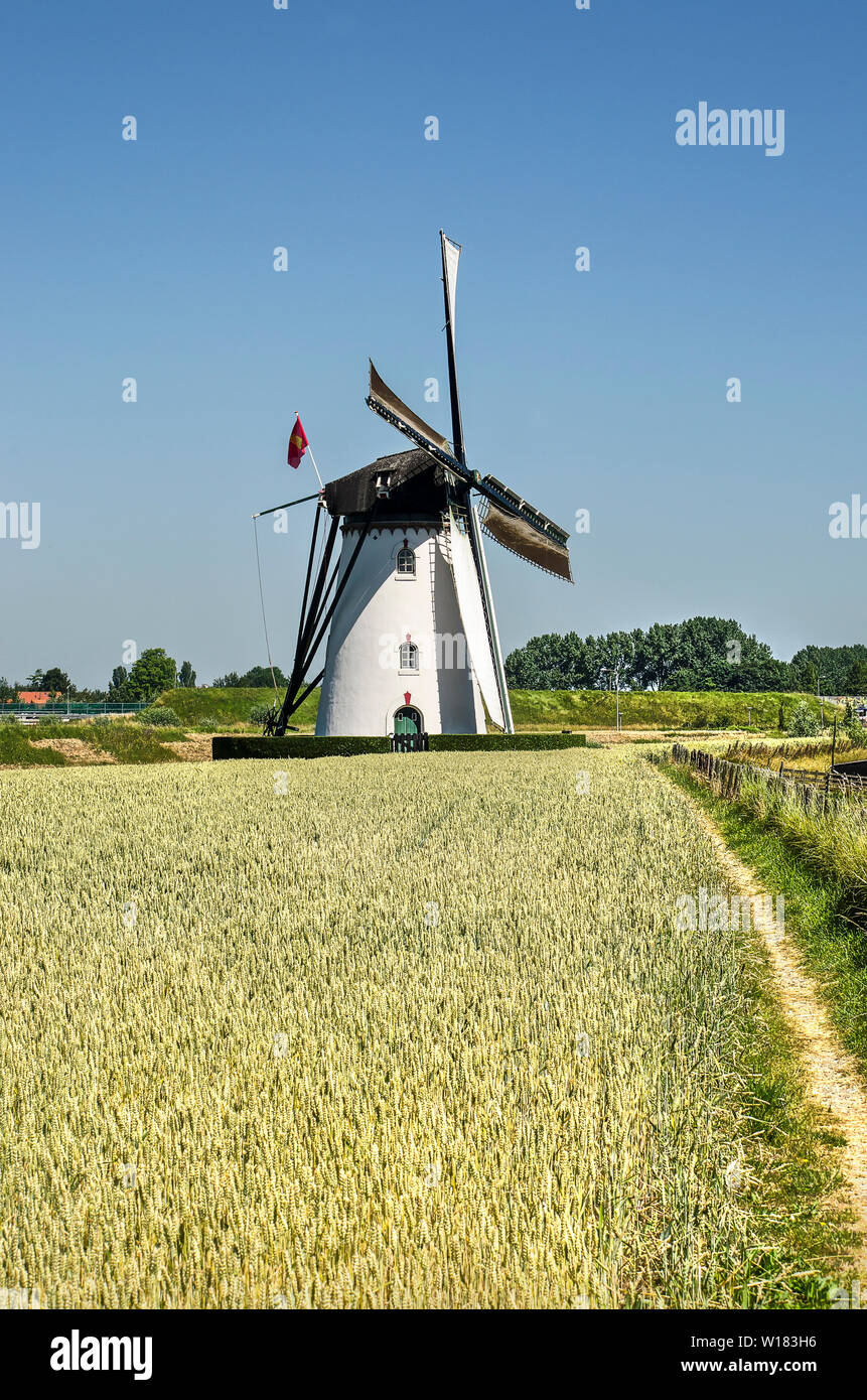Nieuw- en Sint Joosland, aux Pays-Bas, le 29 juin 2019 : le long d'un sentier étroit vers le champ de moulin blanc plâtrés sous un ciel bleu Banque D'Images