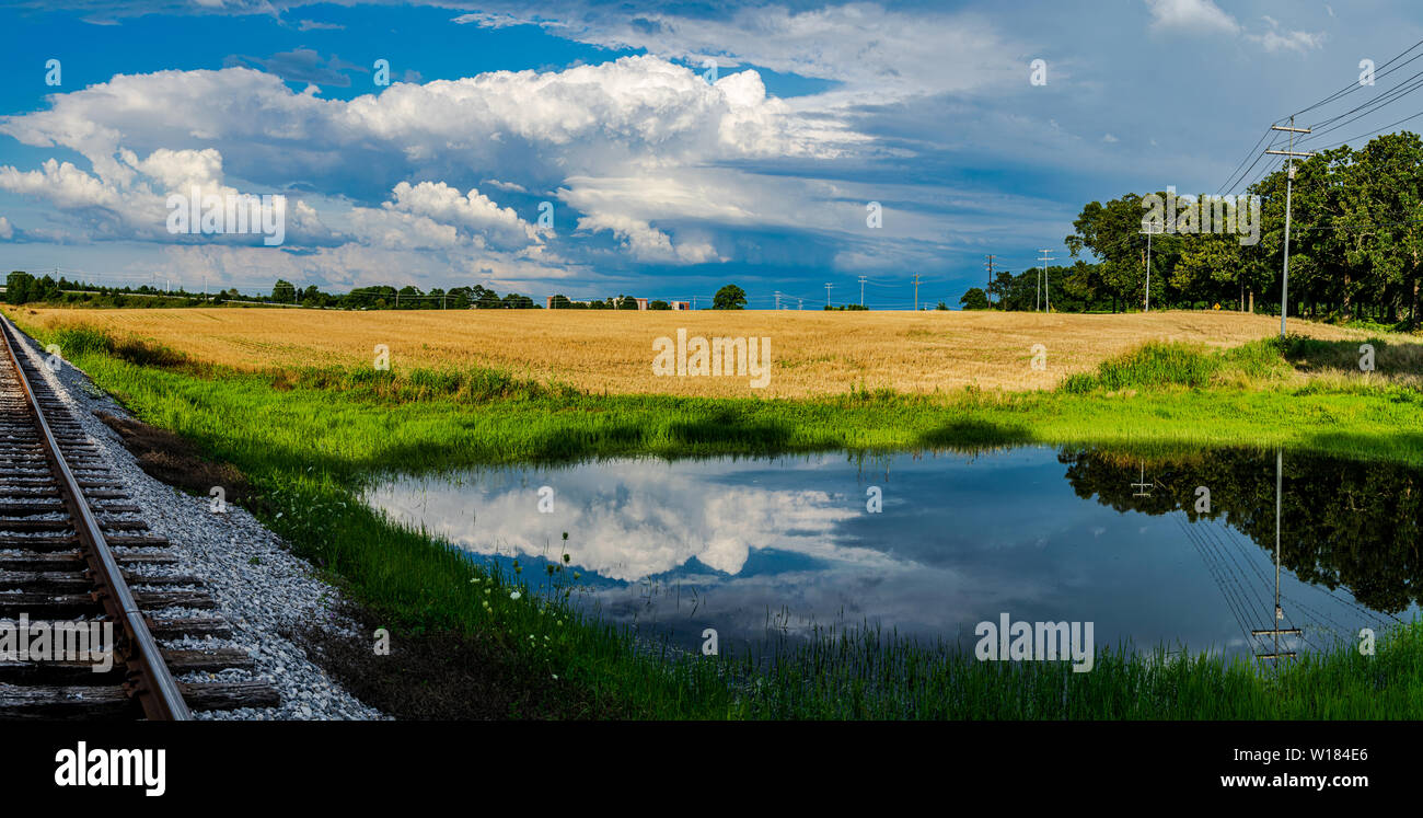 Vue panoramique sur le ciel bleu, les nuages blancs et un champ de blé, avec un petit étang au premier plan bordé par des voies ferrées et des poteaux électriques. Banque D'Images