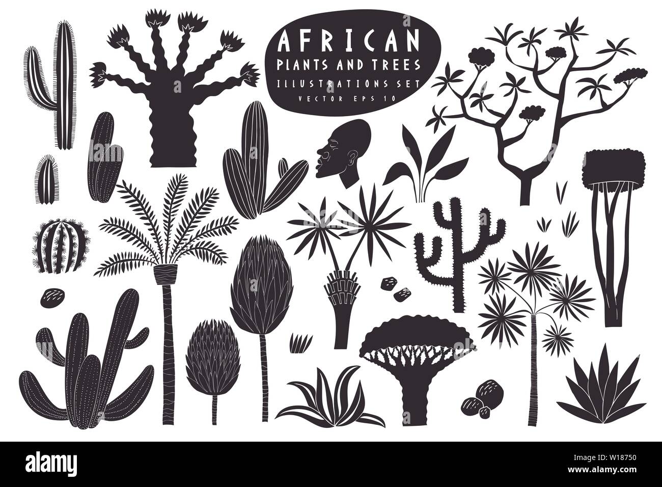 Fun dessinés à la main, les plantes de l'Afrique de l'illustration. Cactus, palmiers, arbres exotiques illustrations vectorielles. Linogravure style mignon. Illustration de Vecteur