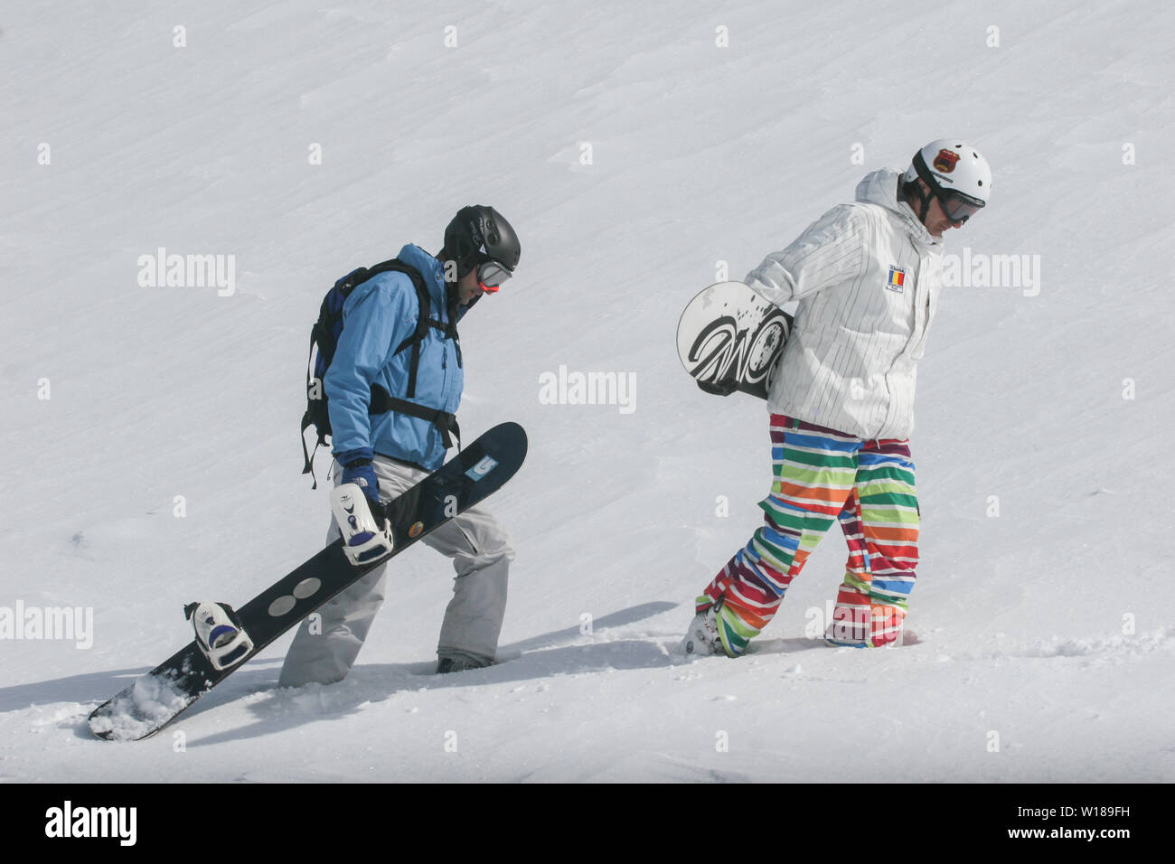 SIBIU, ROUMANIE - 13 mars 2010 : Homme snowboarder portant sa board marche dans les montagnes de Fagaras. Banque D'Images