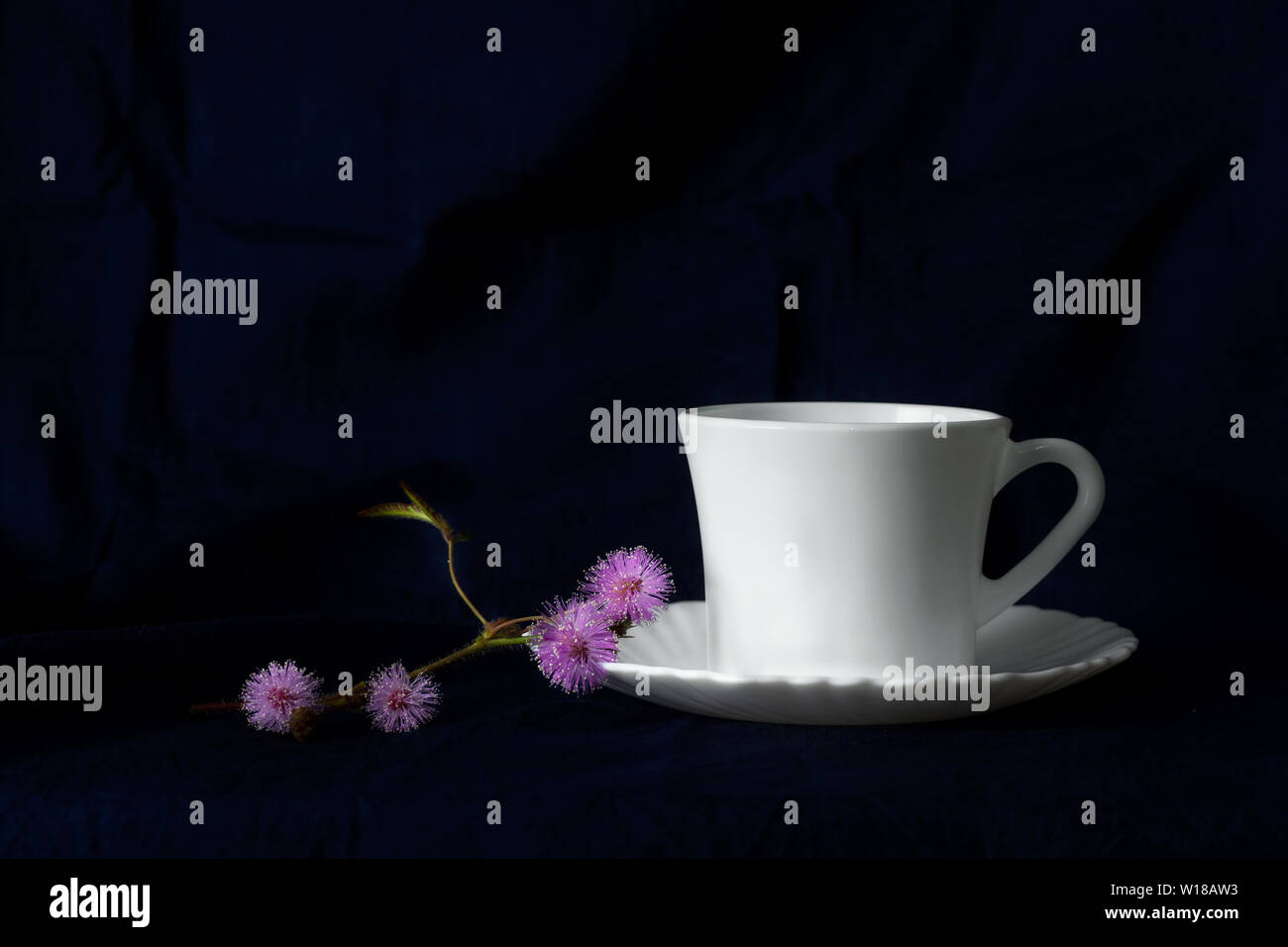 White tasse de café ou de thé boisson chaude le matin avec de petites fleurs sauvages violet rose Baroque rococo classique ou encore avec la vie en soie bleu foncé fabr Banque D'Images