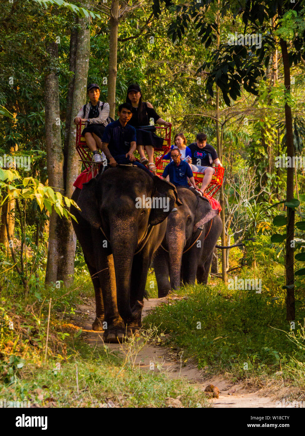 L'équitation d'éléphant à Sriracha Tiger Zoo, Pattaya, Thaïlande Banque D'Images
