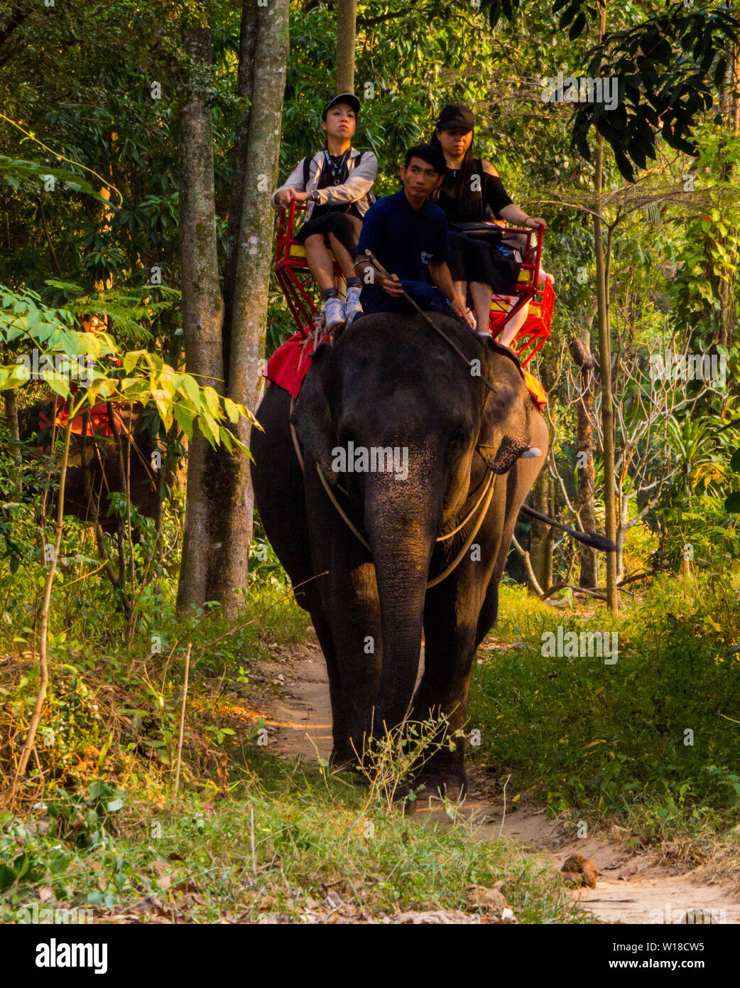 L'équitation d'éléphant à Sriracha Tiger Zoo, Pattaya, Thaïlande Banque D'Images