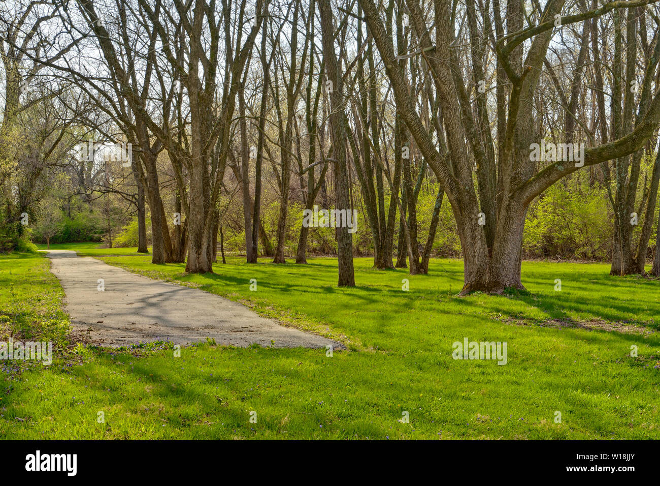 Un chemin commence à côté de la grappe des arbres à Saint Louis Comté Bella du Parc Lafontaine sur un matin de printemps. Banque D'Images Un chemin commence à côté de la grappe des arbres à Saint Louis Comté Bella du Parc Lafontaine sur un matin de printemps. Banque D'Images