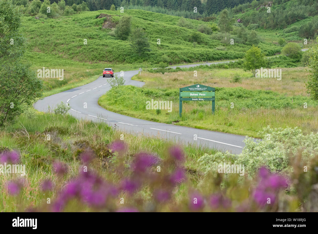 Dukes Pass, Trossachs, l'Écosse : 1 Juillet 2019 : journée de lancement pour l'insuffisance cardiaque 200 piste touristique : une voiture conduit plus de ducs transmettre le A821 route entre Aberfoyle et de Brig o' Turk dans le Glen des Trossachs sur le coeur 200 piste touristique qui est lancé aujourd'hui. La nouvelle route touristique espère pour correspondre à la réussite de la côte nord 500, sans les problèmes de routes à voie unique, et est un mile 200 touring route couvrant le coeur de l'Ecosse, autour de Perth, Stirling, les Trossachs et Highland Perthshire Crédit : Kay Roxby/Alamy Live News Banque D'Images