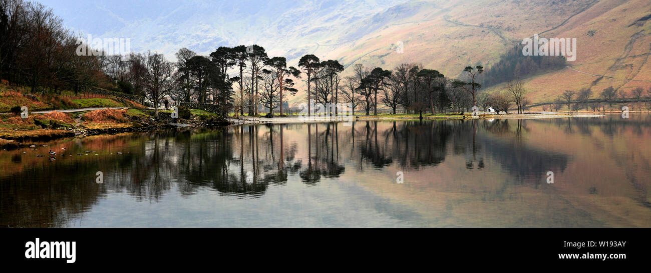 Brume sur la lande, Parc National de Lake District, Cumbria, England, UK Banque D'Images