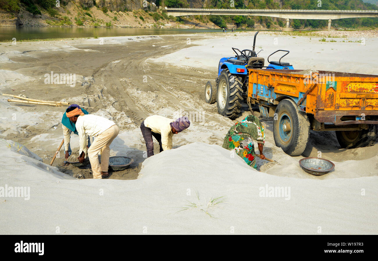 Travailleur manuel loading sable sur le tracteur à River Bank Banque D'Images