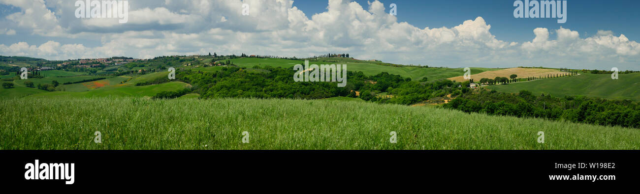 Panorama du domaine toscan près de Sienne en été Banque D'Images