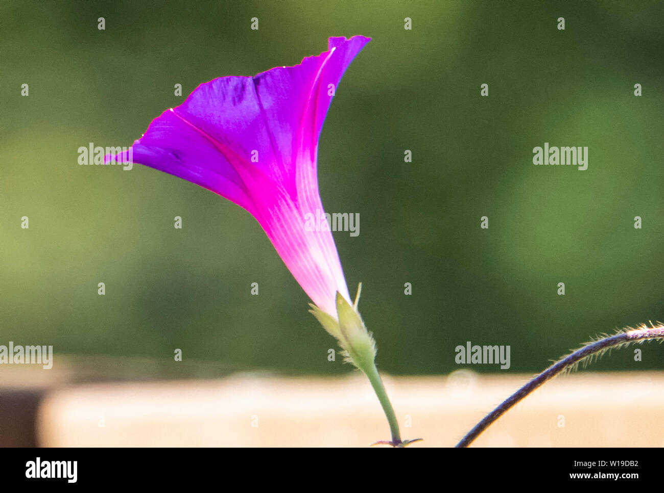 Tout seul Banque D'Images