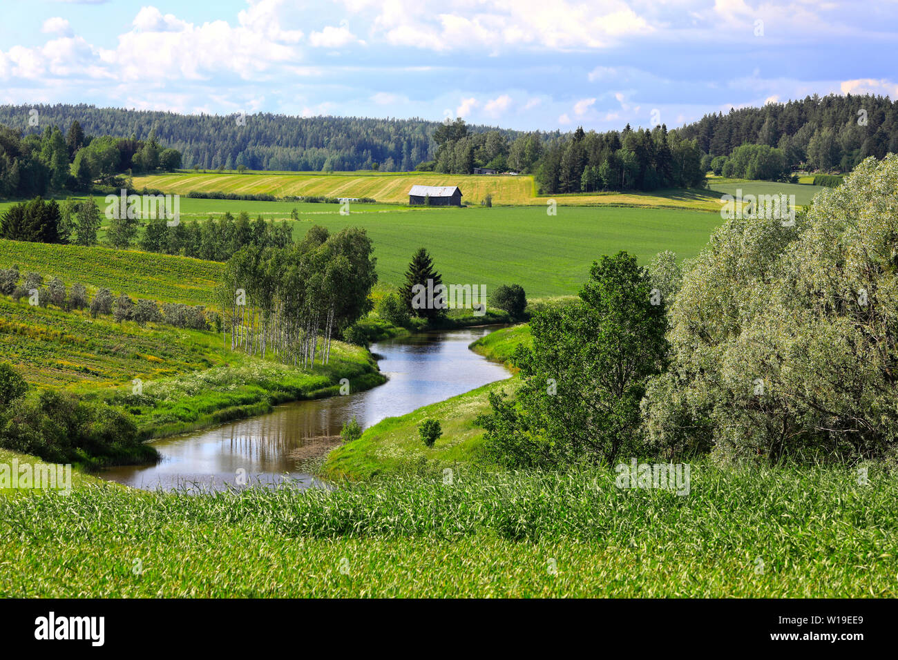Paysage rural de la vallée d'une rivière et des champs verts sur un beau jour de l'été dans le sud de la Finlande. Banque D'Images