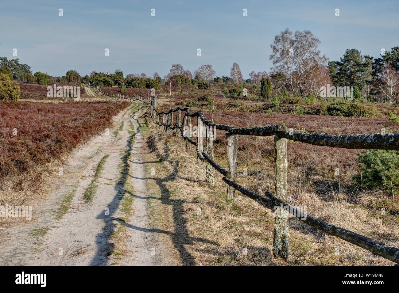 Le long de la old weathered barrière en bois mène le sentier apparemment infinis dans la réserve naturelle. Luenburger Banque D'Images